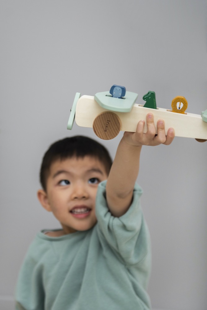 Wooden animal airplane